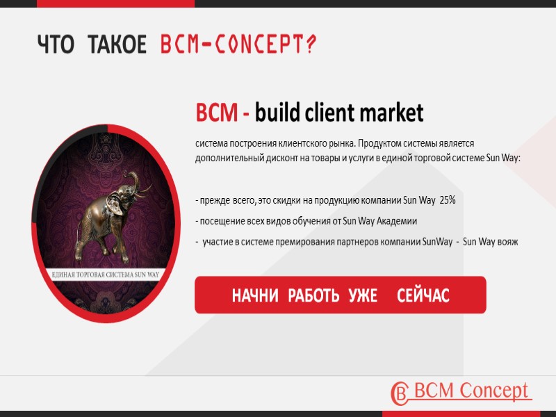 BCM - build client market система построения клиентского рынка. Продуктом системы является дополнительный дисконт